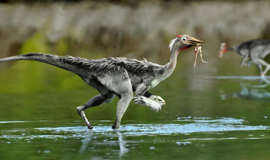 Динозавр Пеликан