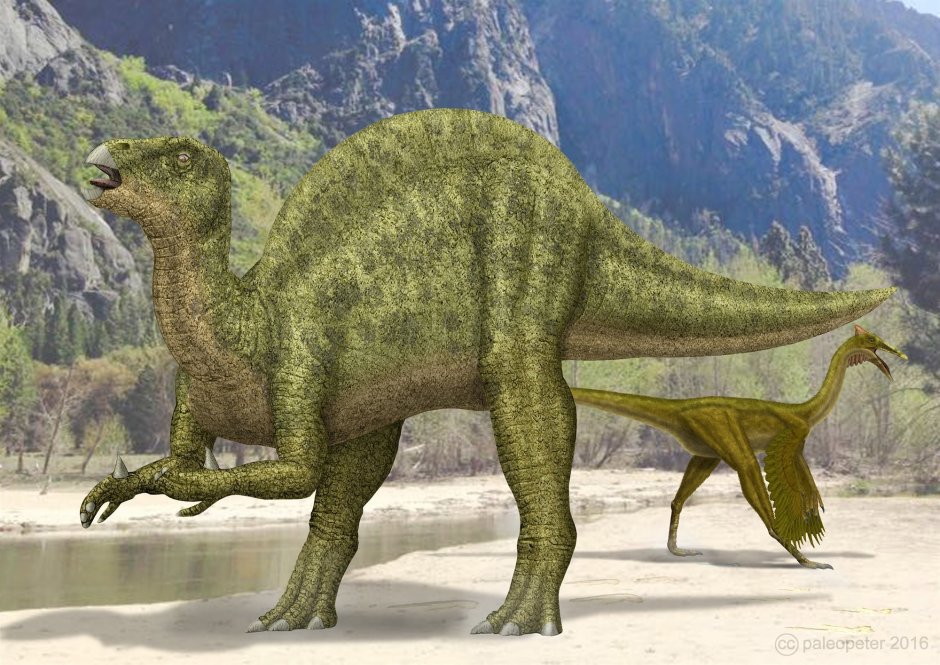 Цератозавр и человек