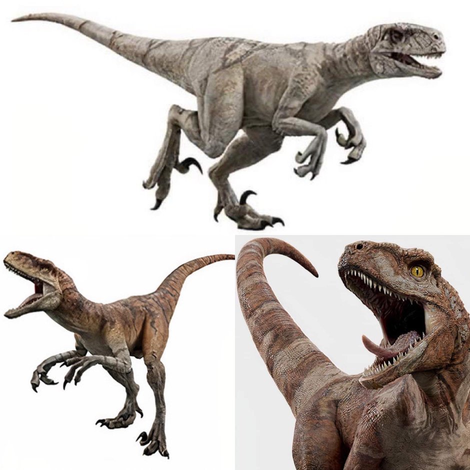 Atrociraptor Jurassic World Dominion