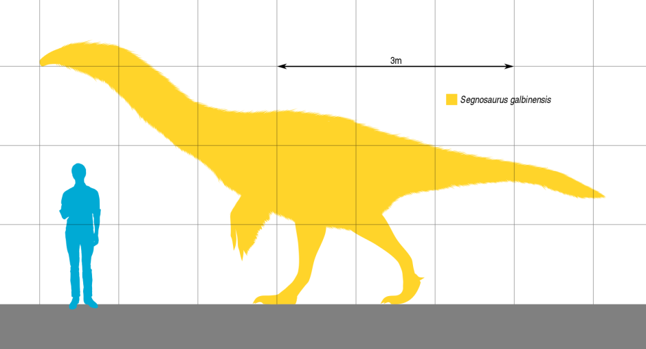 Теризинозавр по сравнению с человеком