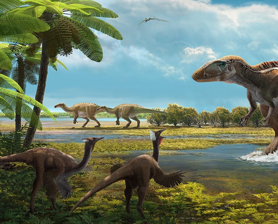 Литронакс Атучин