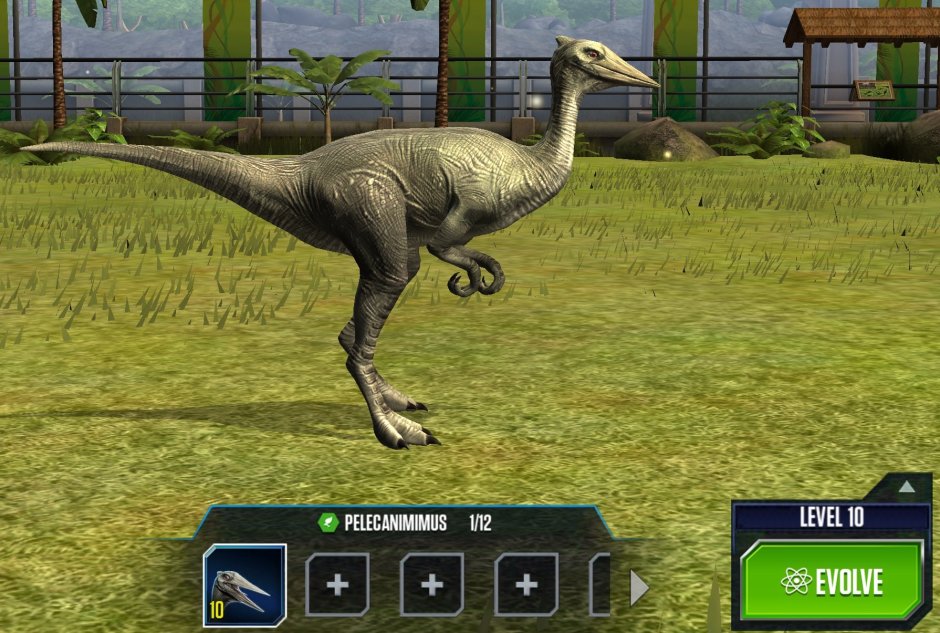 Пеликанимим фото игры