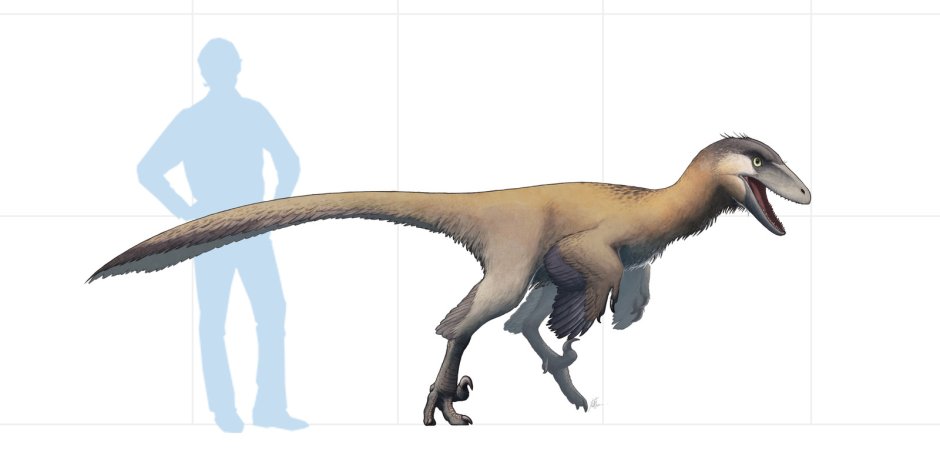 Дромеозавриды Троодон