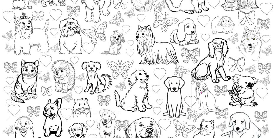 Несколько раскрасок на одном листе