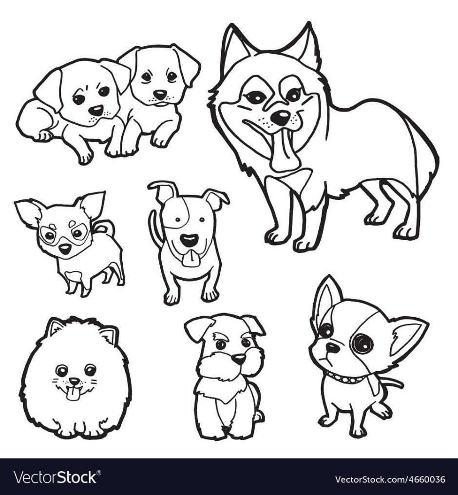 Раскраска маленькие собачки