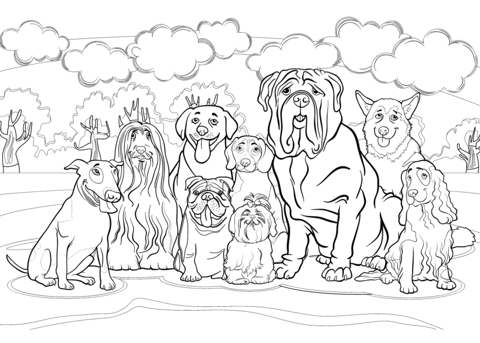 Бездомная собака раскраска