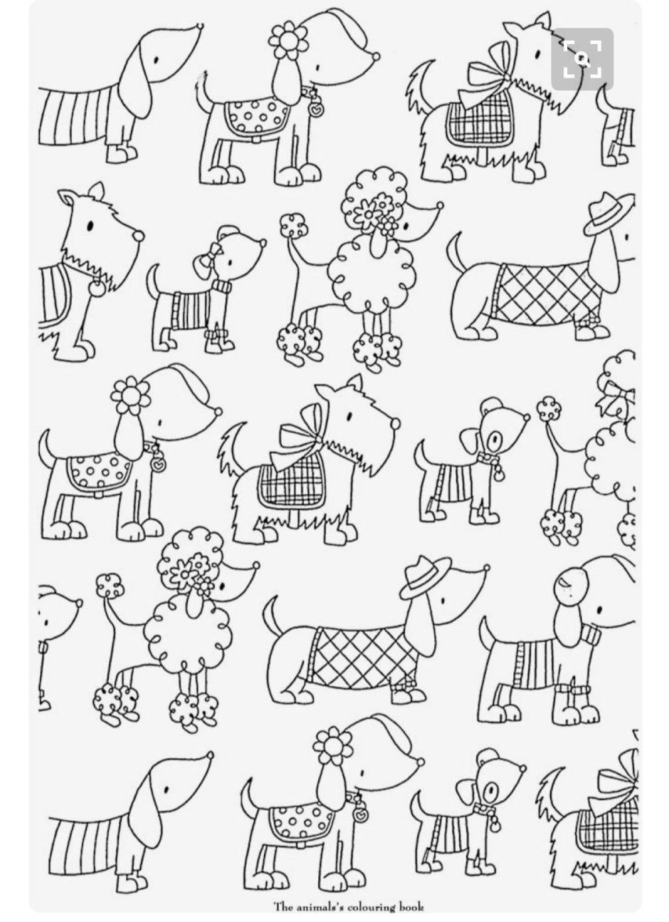 Раскраски много