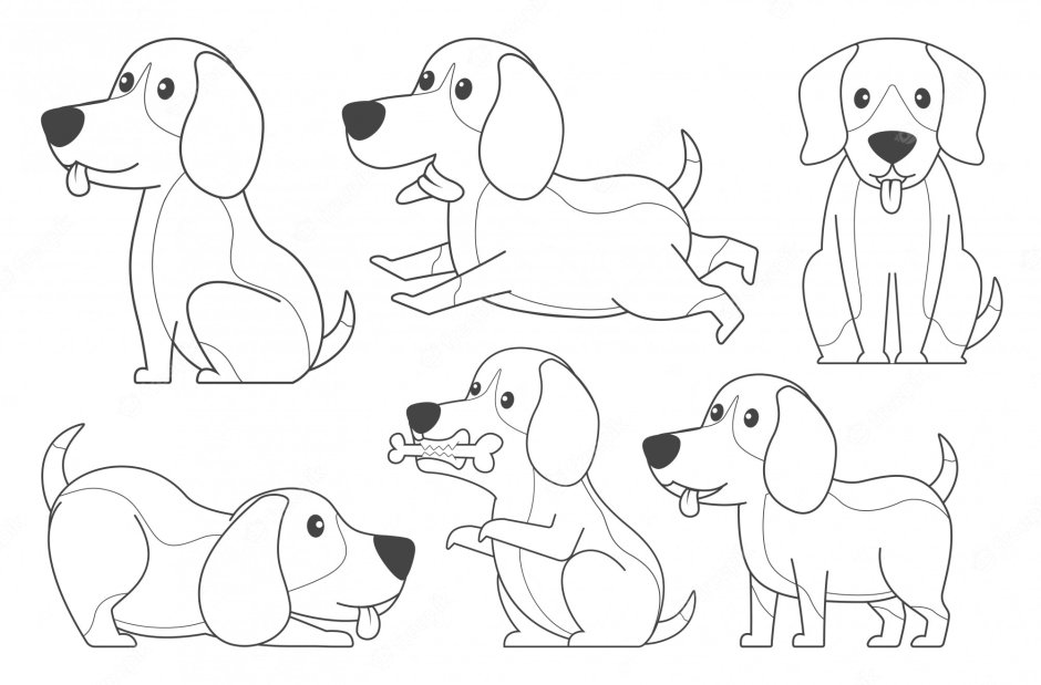 Раскраска Бигль щенок