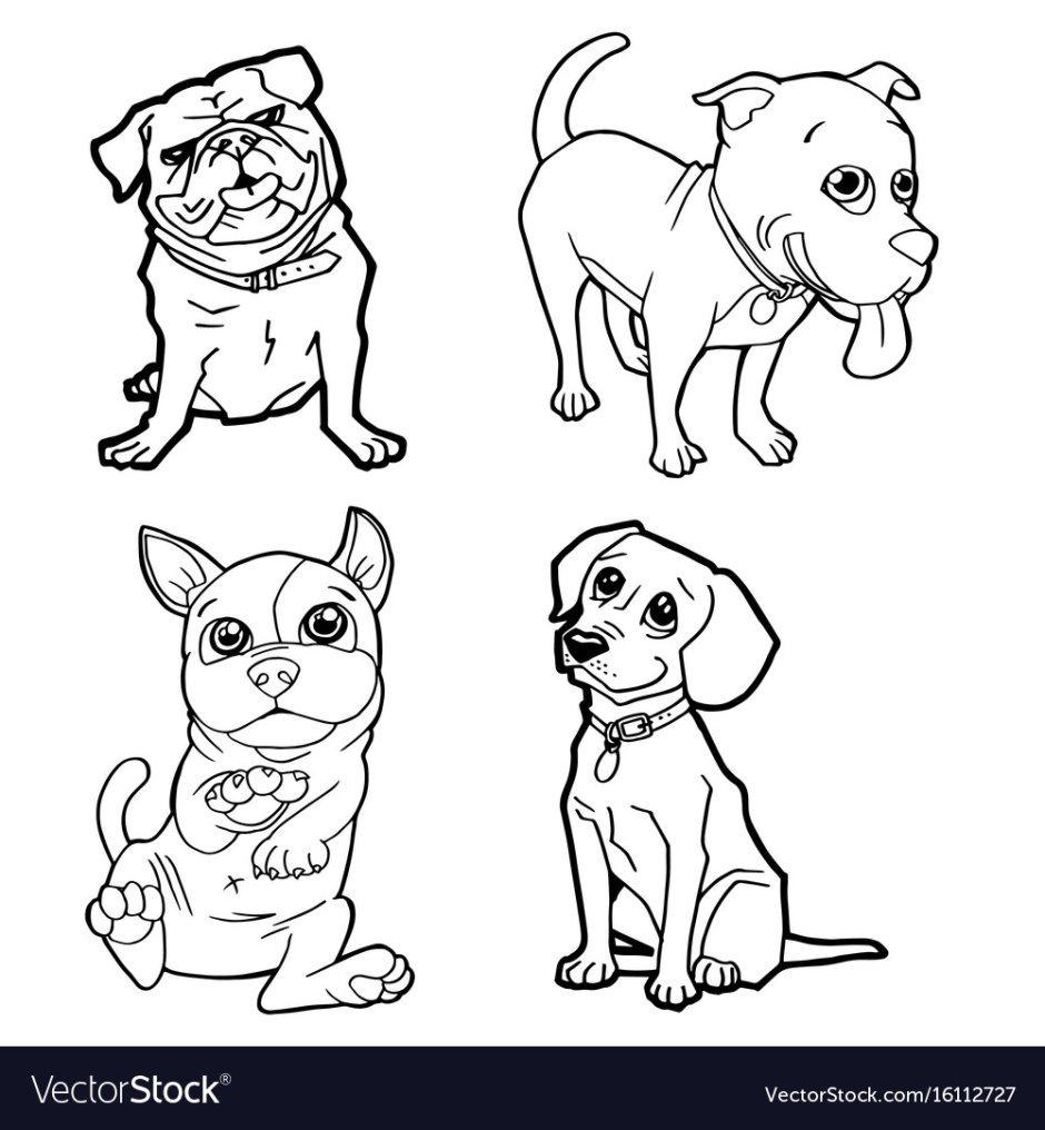 Маленькие собаки раскраска