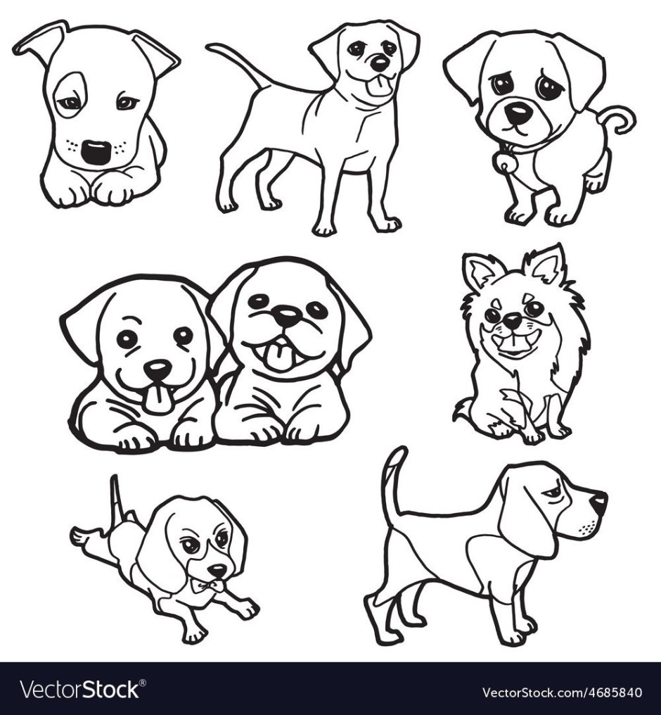 Раскраска маленькие собачки