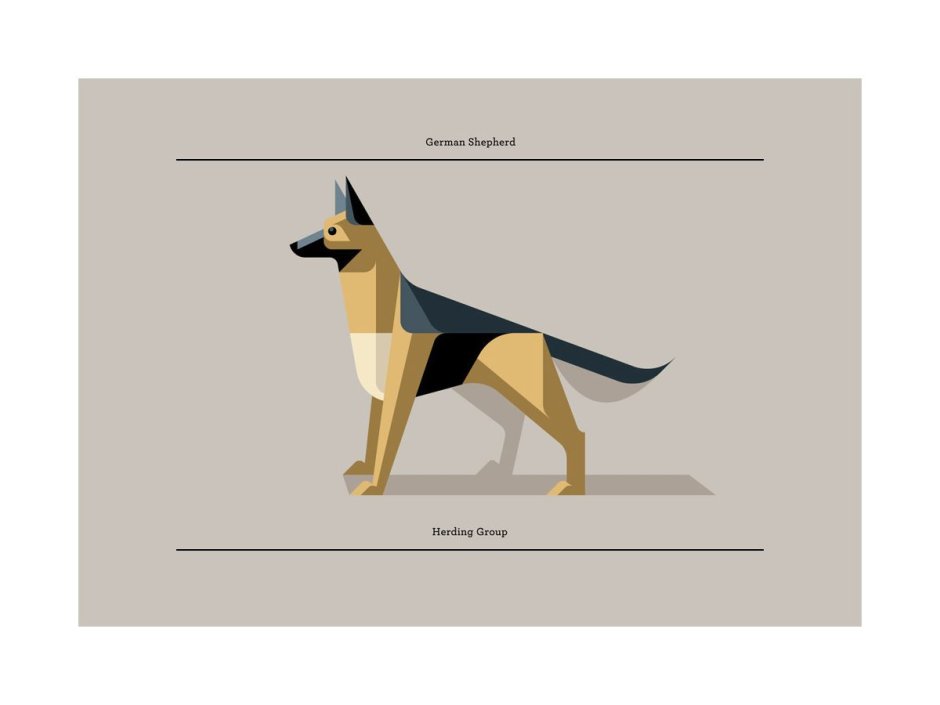 Собака в стиле Минимализм