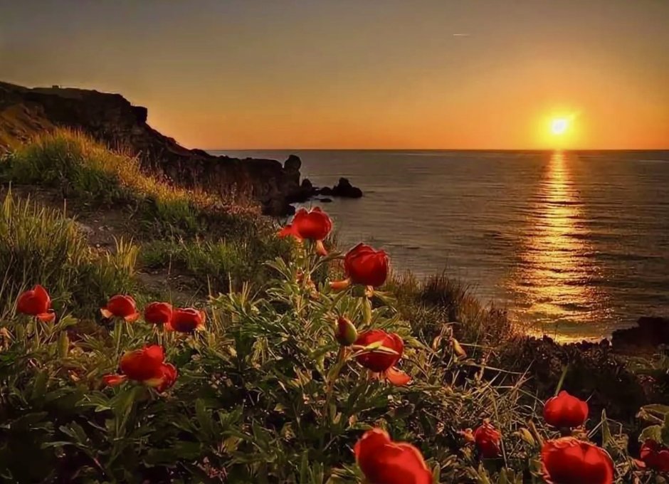 Добрый вечер море