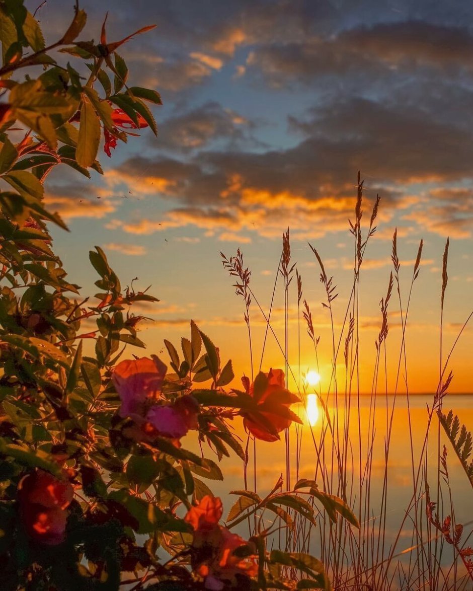 Летний закат