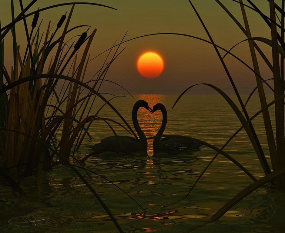 Добрый вечер необычные природа