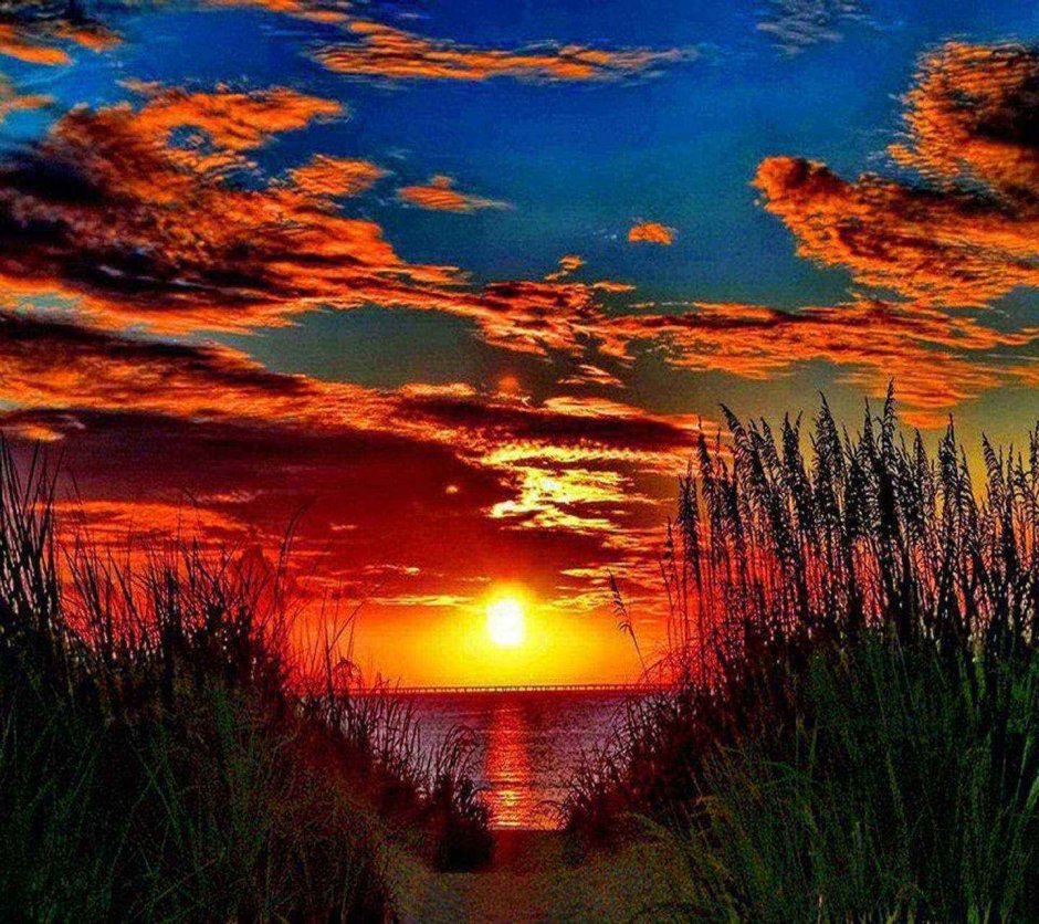 Летний закат