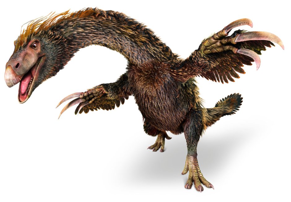 Therizinosaurus cheloniformis