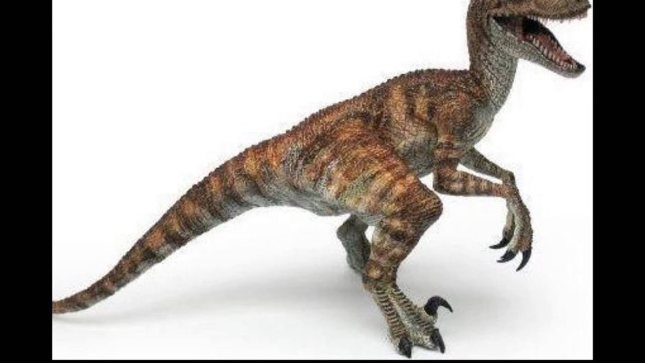 Дейноних динозавр Велоцераптор