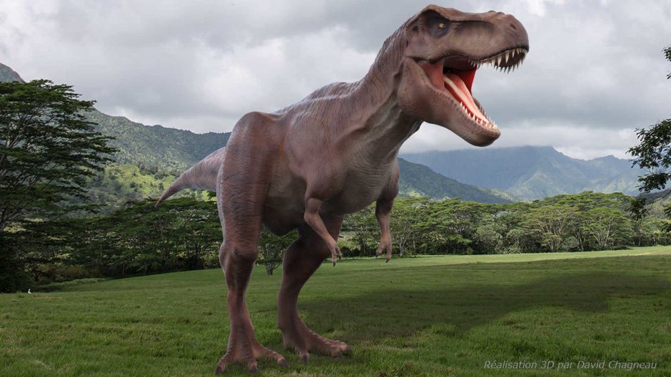 Тираннозавр рекс передние лапы