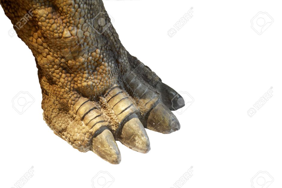 Динозавр на задних лапах