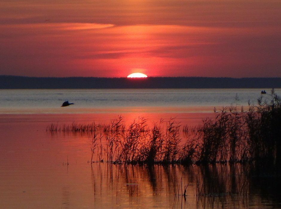 Плещеево озеро закат