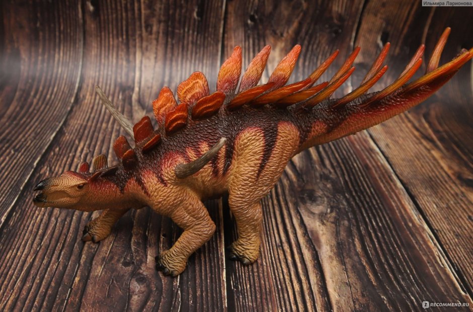 Кентрозавр динозавр