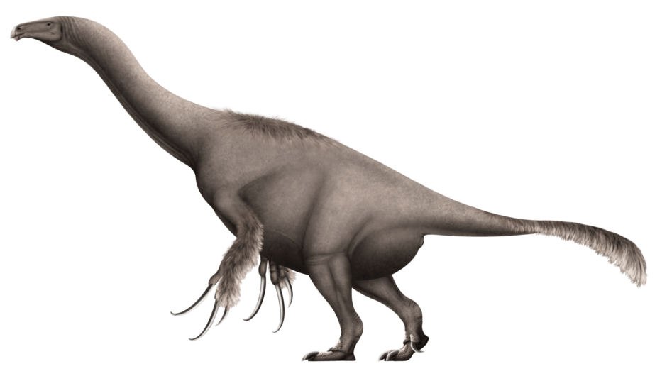 Therizinosaurus cheloniformis