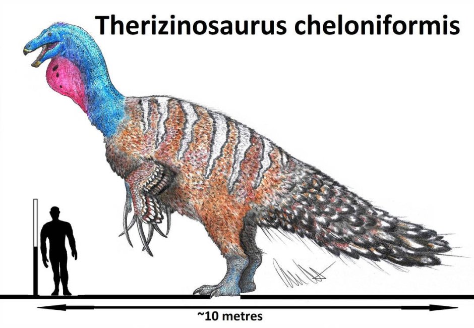 Therizinosaurus cheloniformis