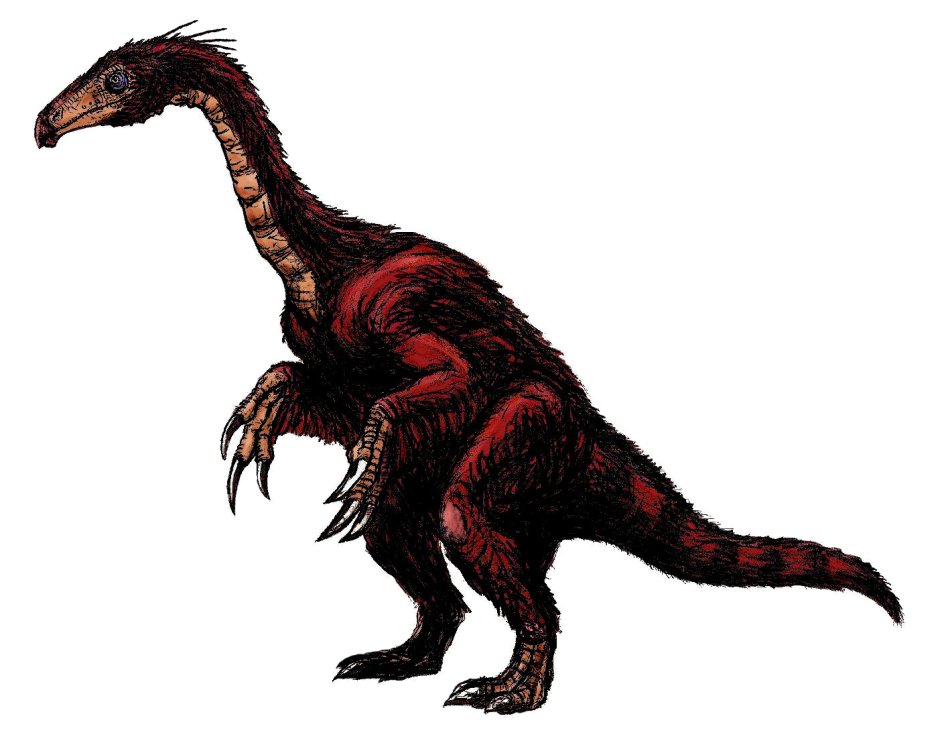 ERLIKOSAURUS andrewsi