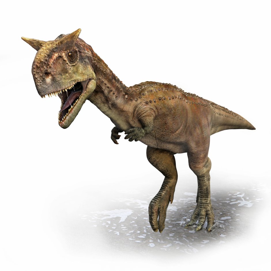 Карнотавр Кинг