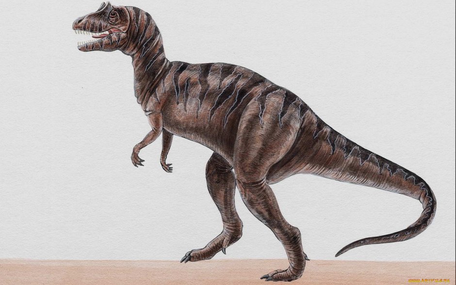 Тираннозавр рекс информация о нем