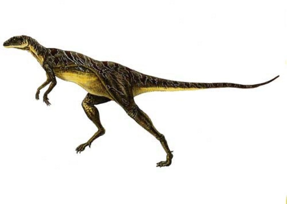 Доисторические Лесотозавр