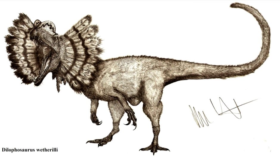 Dilophosaurus wetherilli