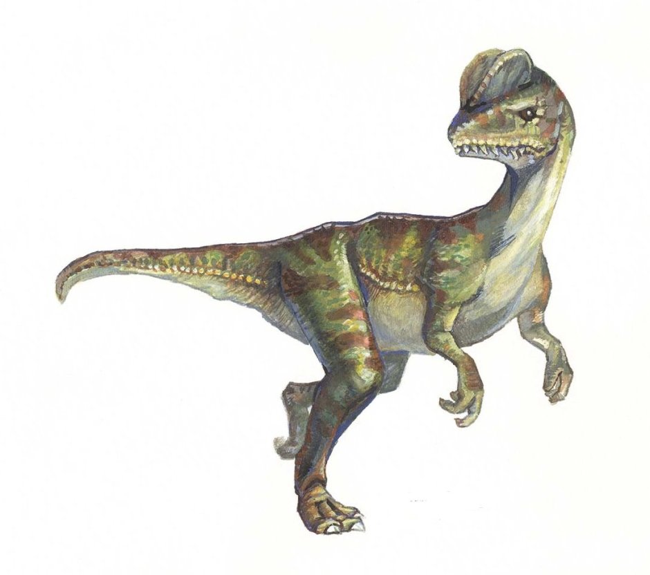 Динозавр Дилофозавр хищный