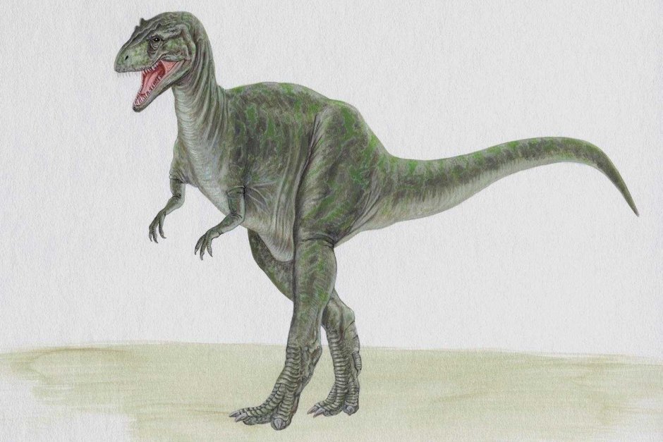 Динозавры с короткими передними лапами