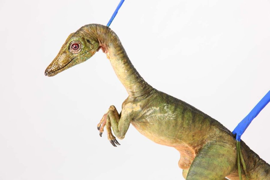 Компсогнат парк Юрского периода