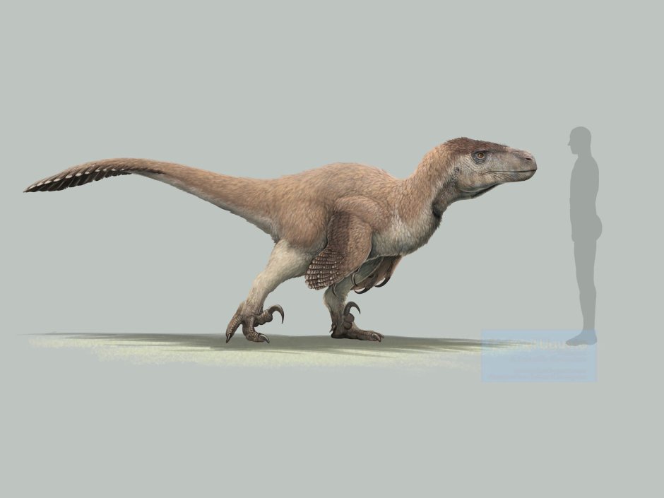 Ютараптор мир Юрского периода