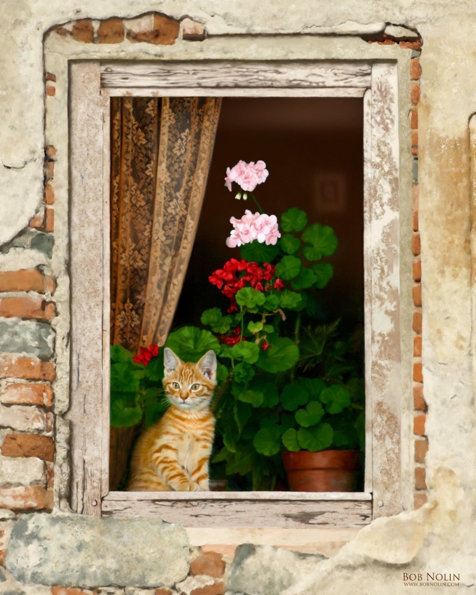 Кошки на окошке