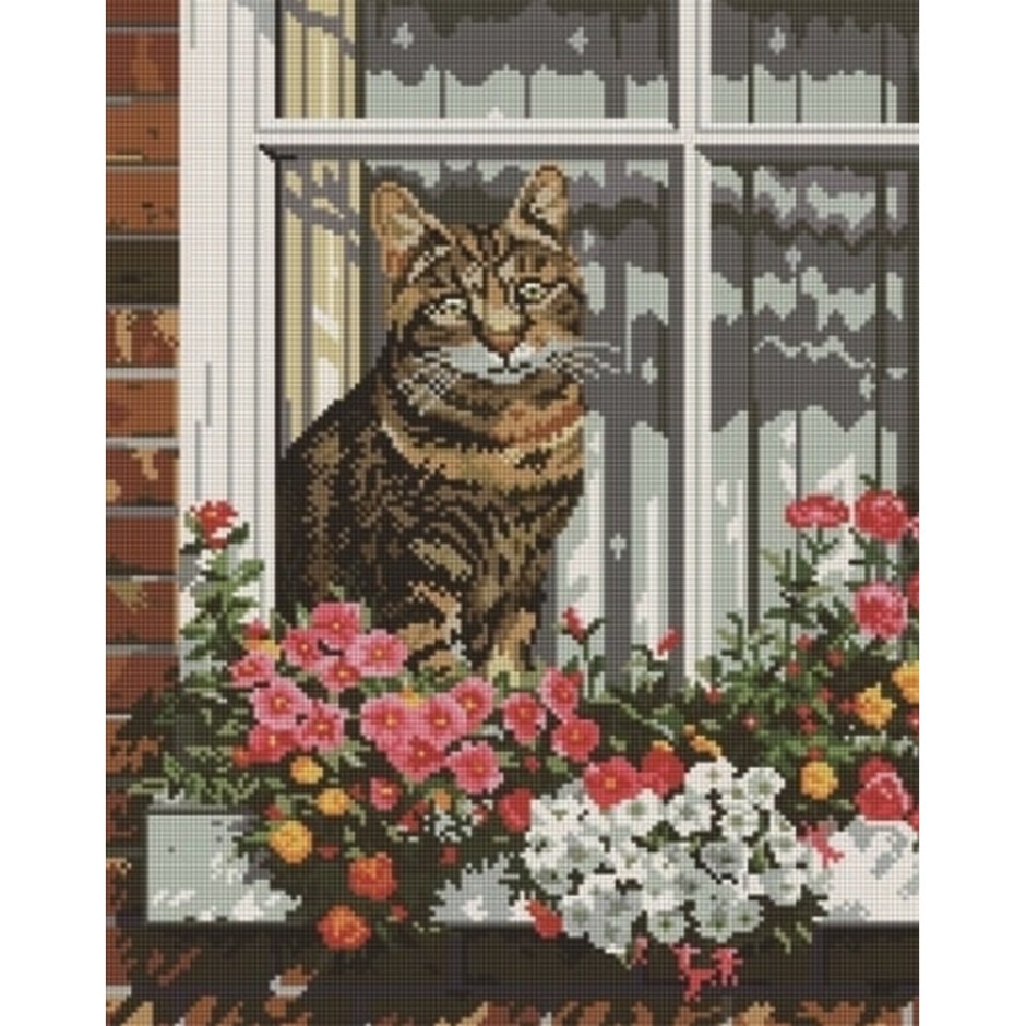 Кошки на окошке