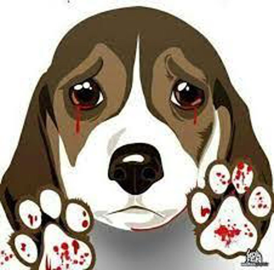Плачущая собака рисунок