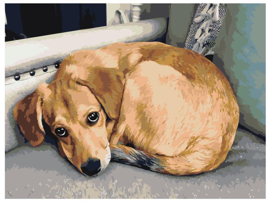 Живопись по номерам собаки