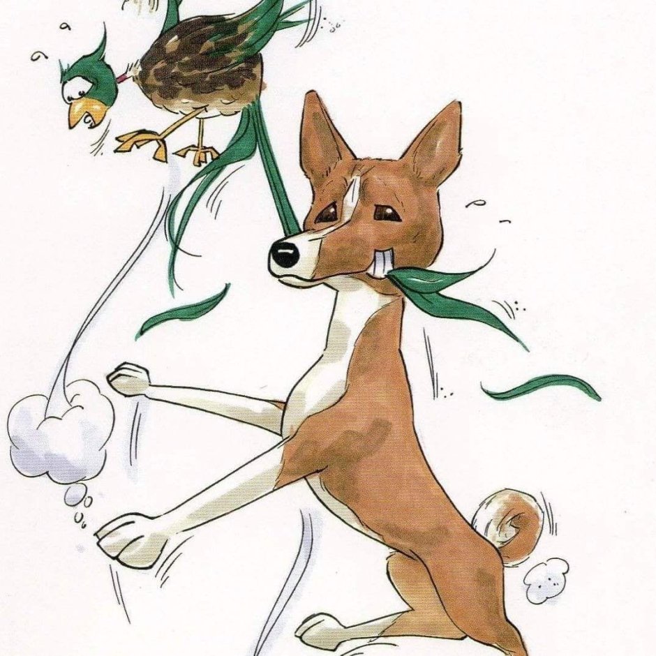 Басенджи рисунок