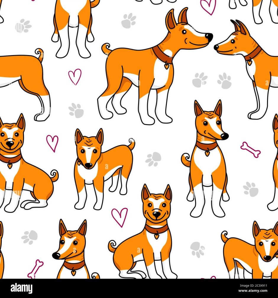 Басенджи вектор