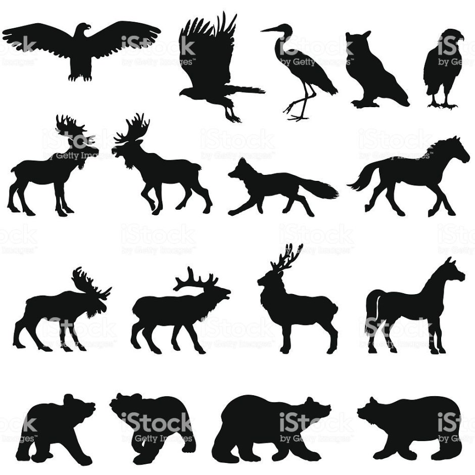Силуэты лесных животных