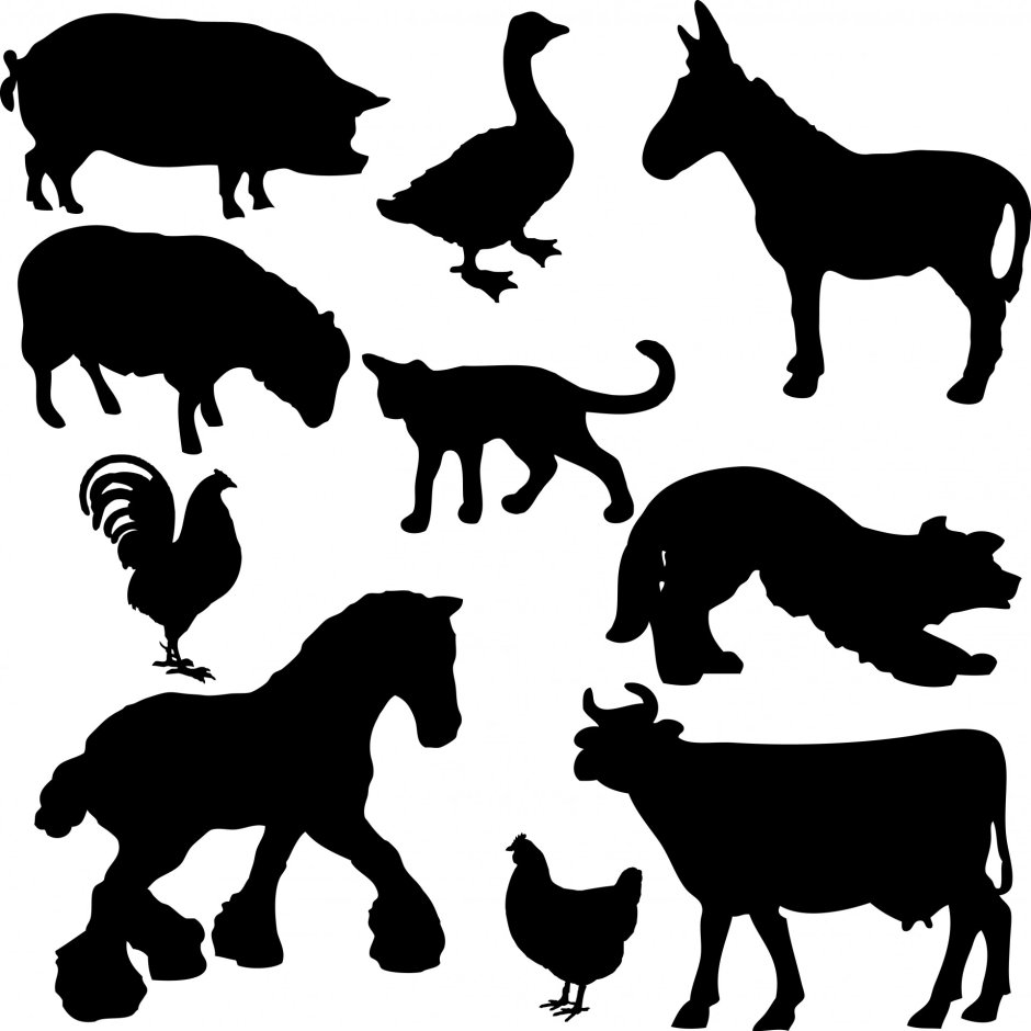 Очертания животных