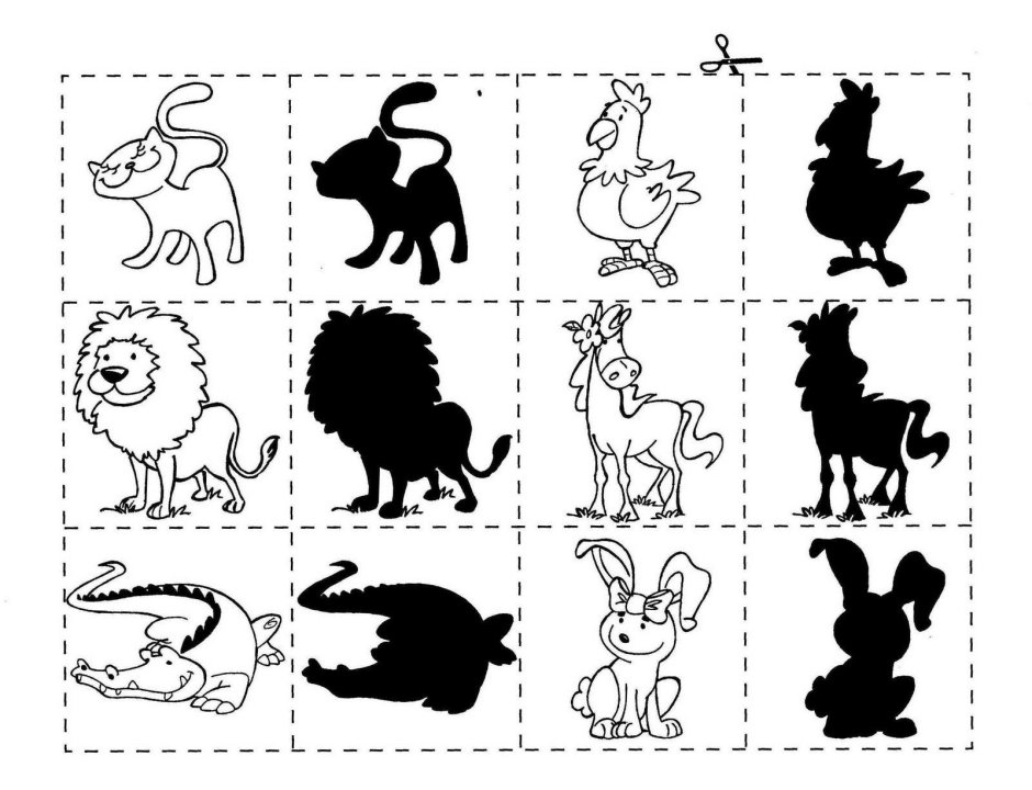 Животные по контуру