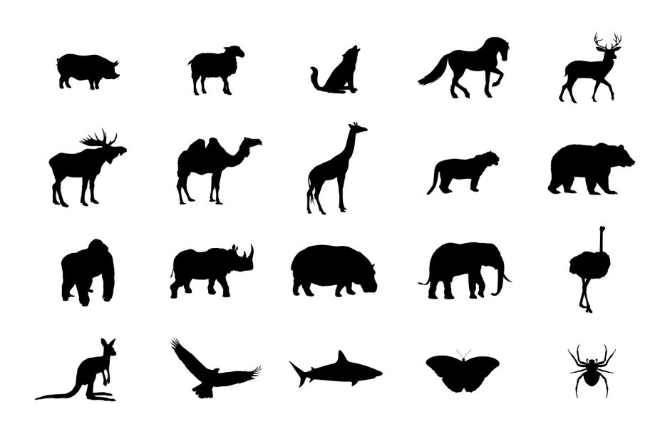 Тени животных