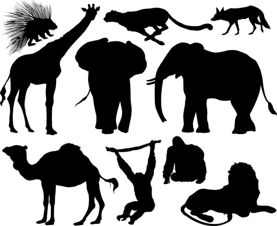 Силуэты африканских животных