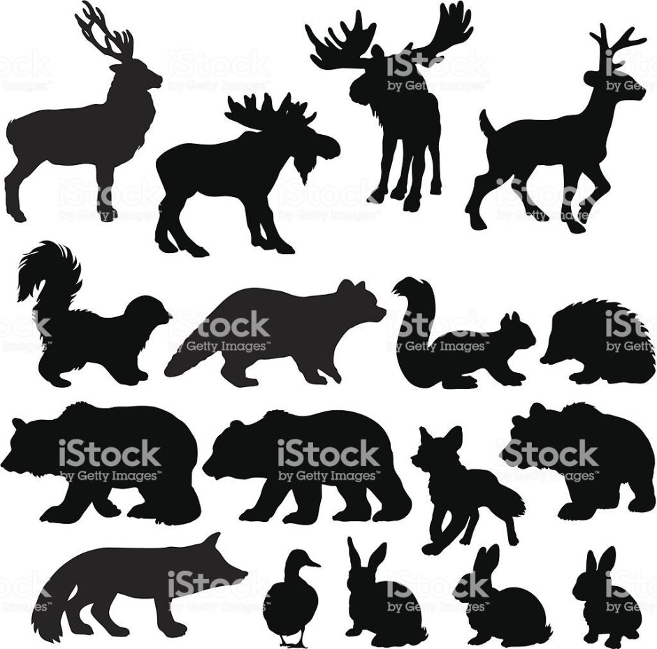 Силуэты диких животных