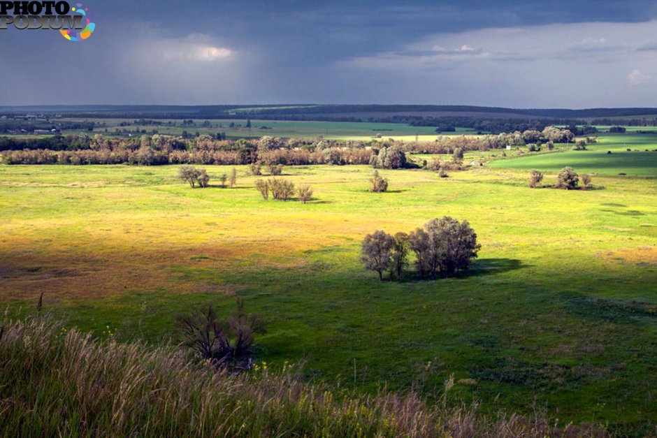 Природа Белгородской области