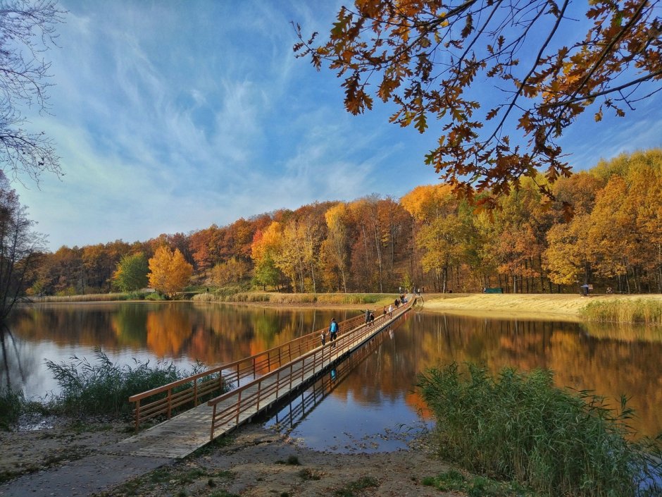 Парк Маршалково Белгород Строитель